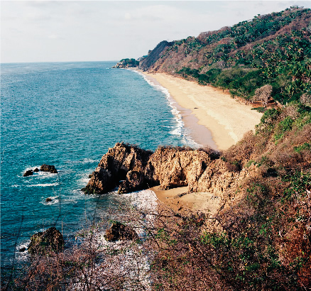 San Pancho Wedding Planner